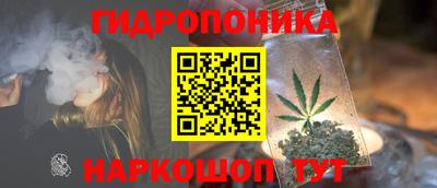 прущие грибы Татарск