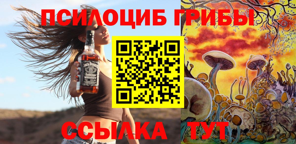 Галлюциногенные грибы Psilocybe  купить закладку  Балтийск  Псилоцибиновые грибы GOLDEN TEACHER  Вход с VPN 