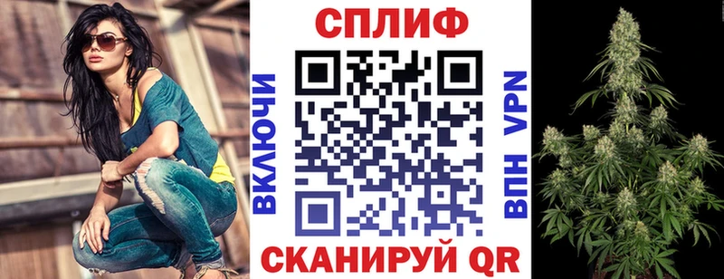 купить наркотики сайты  Балтийск  Канабис тримм 
